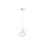 Подвесной светильник в стиле лофт Ambrella light TR8205