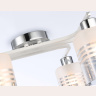 Потолочный светильник Ambrella light TR303207