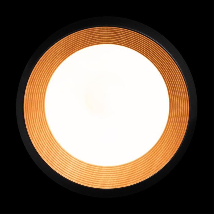 Потолочный светильник Loft it Folk 10255/500 Black