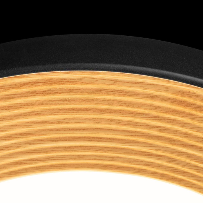 Потолочный светильник Loft it Folk 10255/500 Black