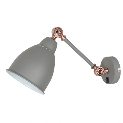 Настенный светильник Arte Lamp Braccio A2054AP-1GY