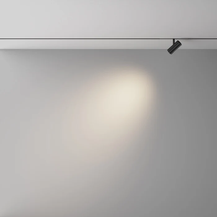 Трековый магнитный светильник Maytoni Technical Focus Led Exility X TR243-5W4K-B