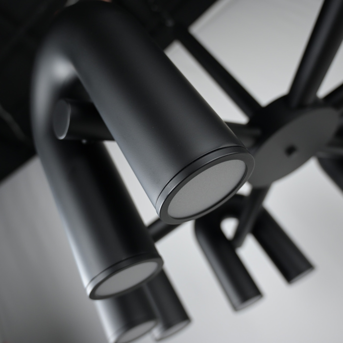 Подвесная люстра FANNY 12 Black ImperiumLoft