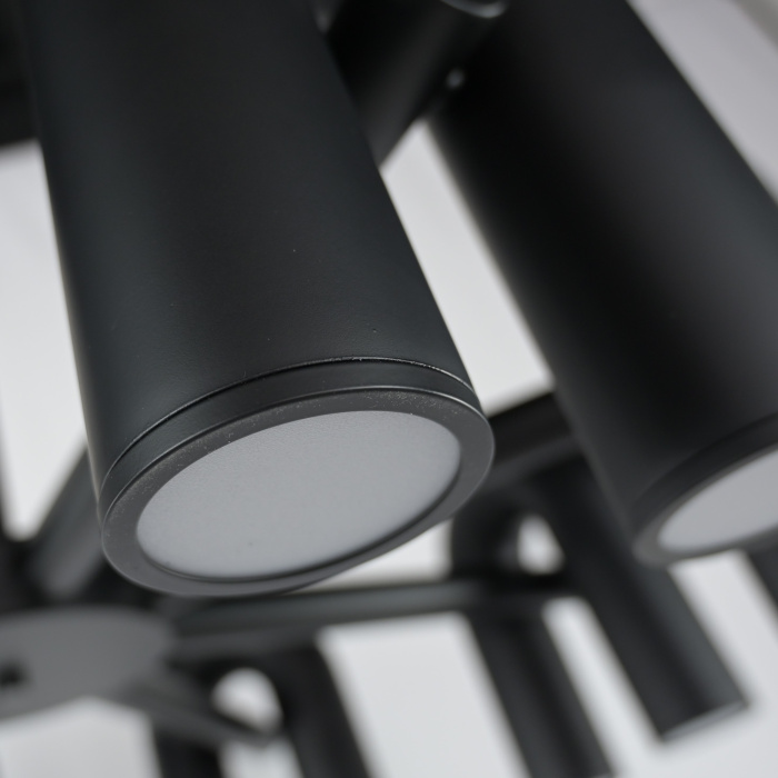 Подвесная люстра FANNY 12 Black ImperiumLoft