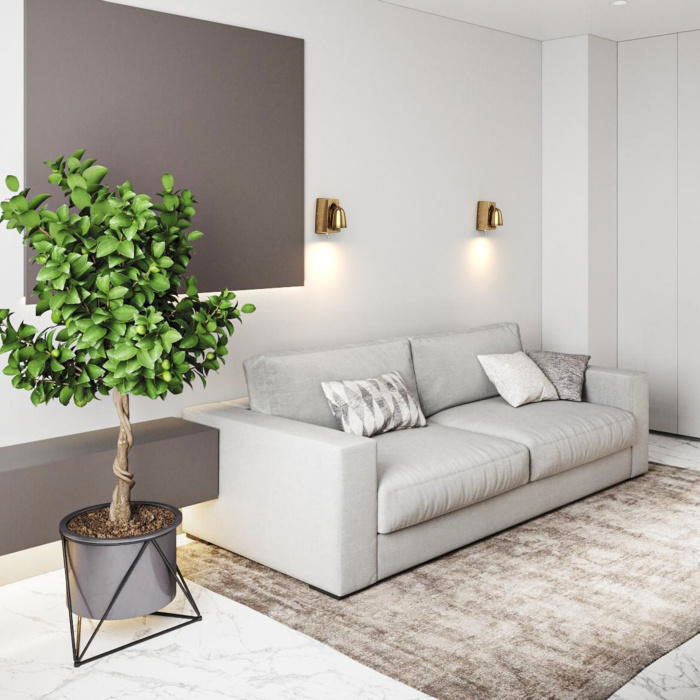 Настенный светильник Covali WL-30812