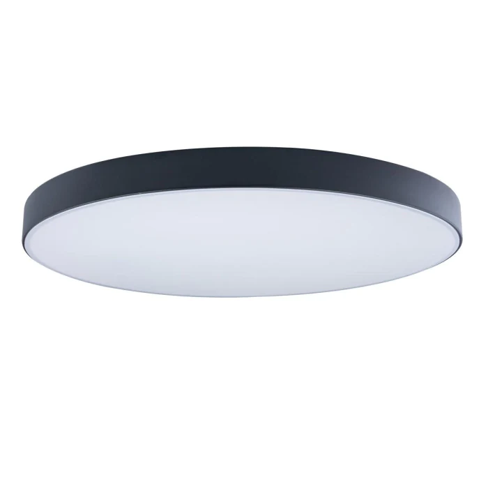 Светильник потолочный LOFTIT Axel 10002/48 Black