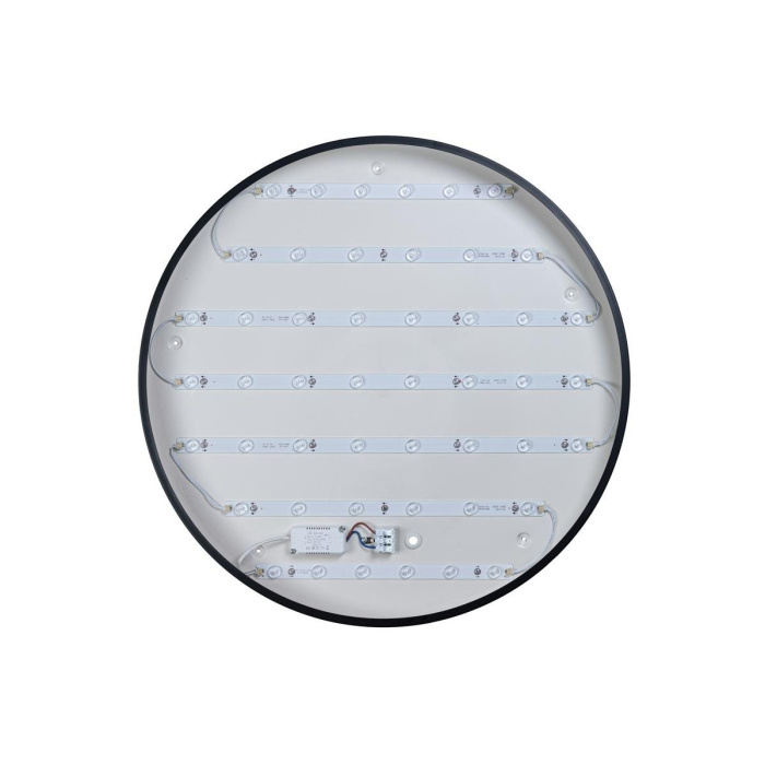 Светильник потолочный LOFTIT Axel 10002/48 Black