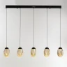 Подвесной светильник Delight Collection MD25090022 MD25090022-5B matt black/champagne