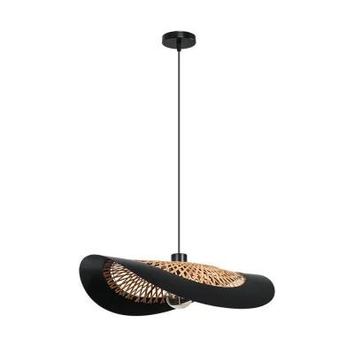 Светильник подвесной Arte Lamp WOODSTOCK A7059SP-1BK