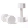 Декоративные гантели Seletti Lvdis 10133