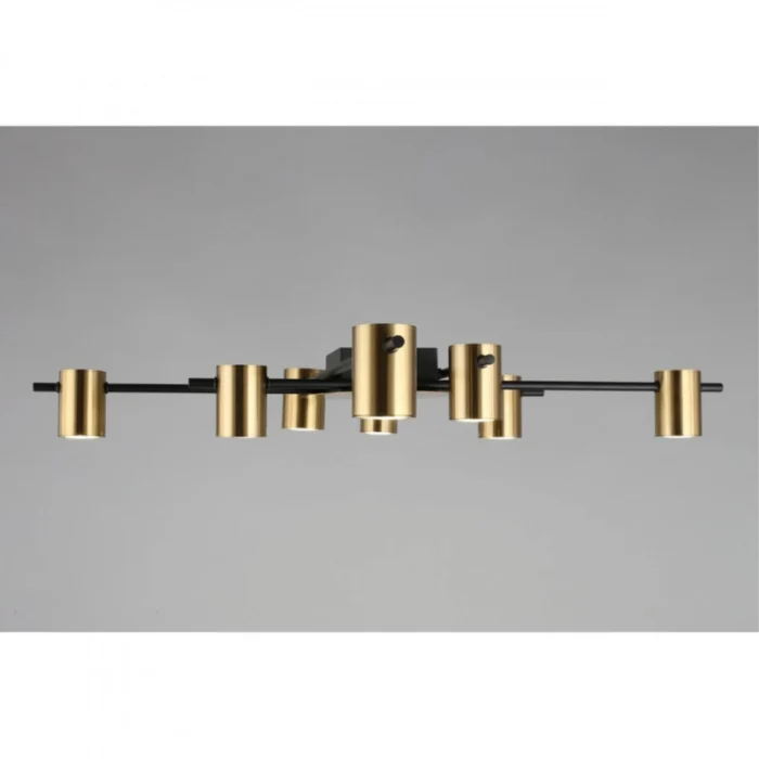 Люстра потолочная Aployt Elwisia APL.633.07.08