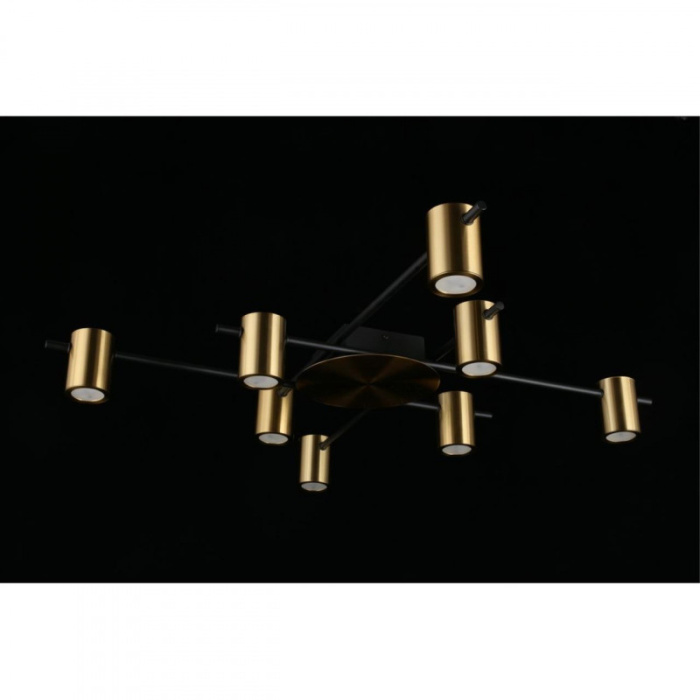 Люстра потолочная Aployt Elwisia APL.633.07.08