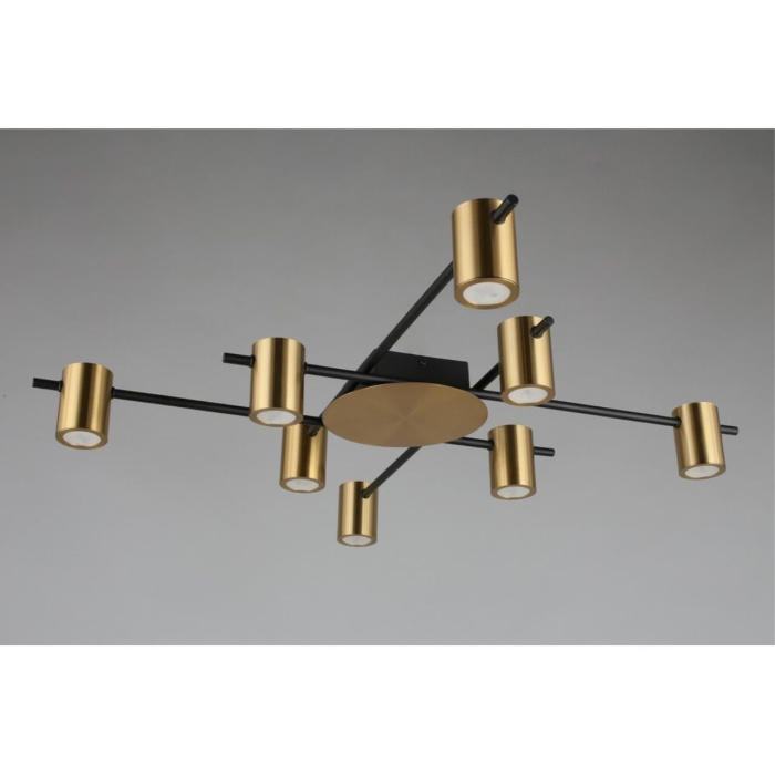 Потолочный светильник Aployt Elwisia APL.633.07.08