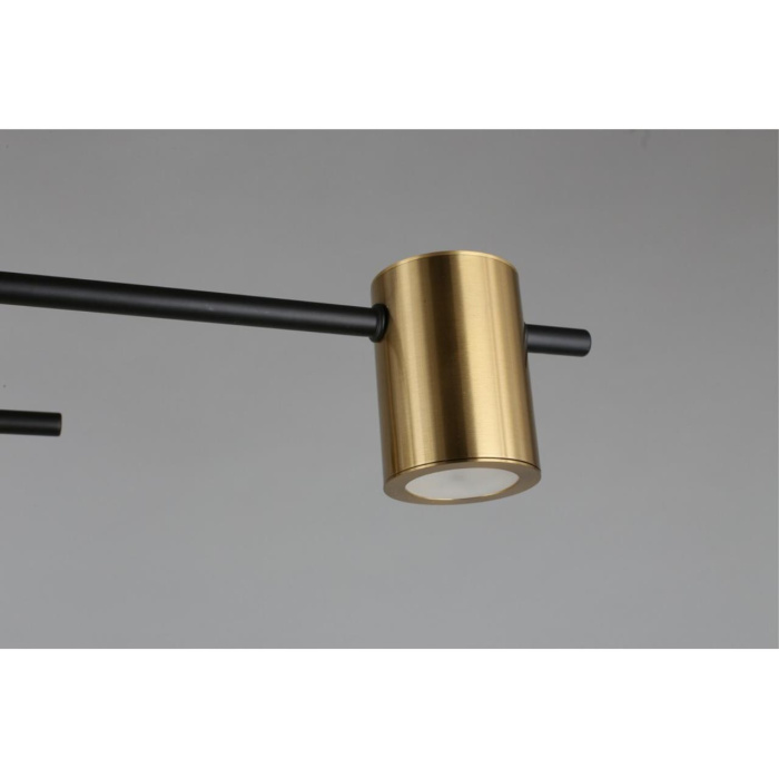 Потолочный светильник Aployt Elwisia APL.633.07.08