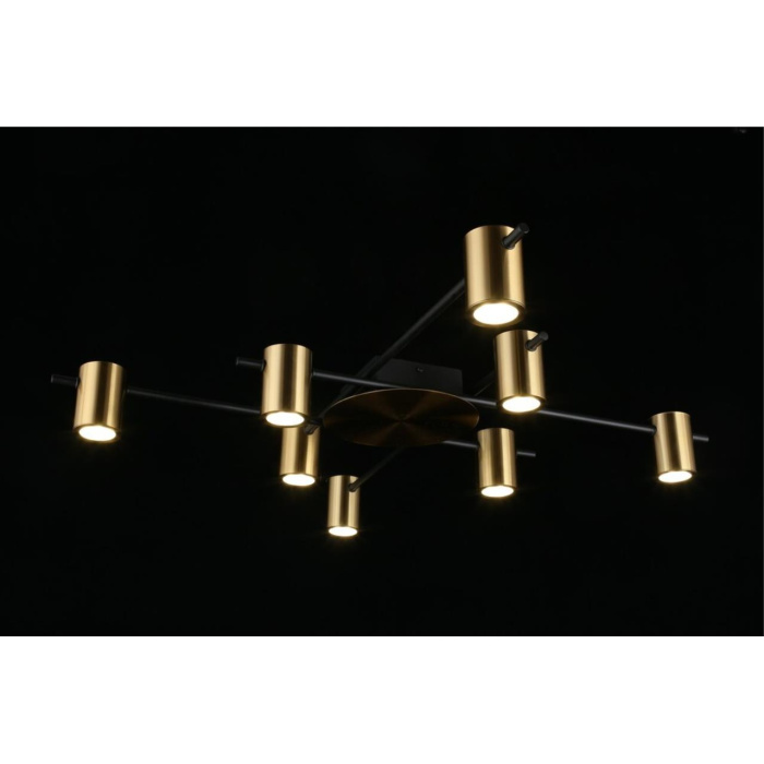 Потолочный светильник Aployt Elwisia APL.633.07.08