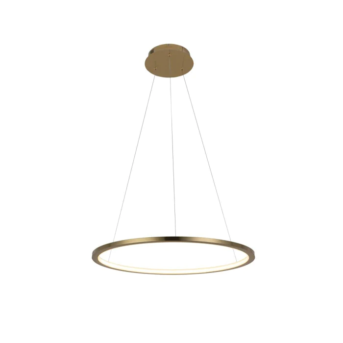 Светильник подвесной LOFTIT Ring 10014M