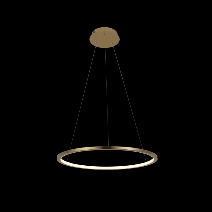 Светильник подвесной LOFTIT Ring 10014M