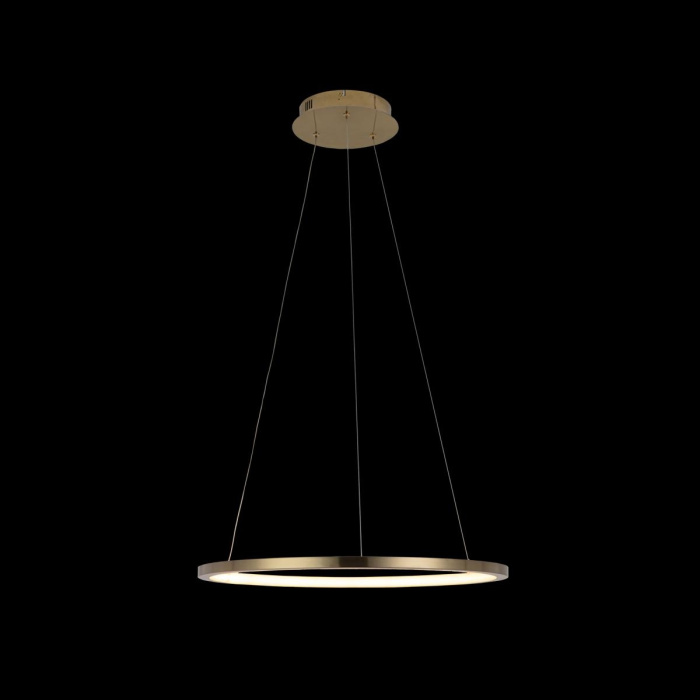 Светильник подвесной LOFTIT Ring 10014M