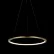 Светильник подвесной LOFTIT Ring 10014M