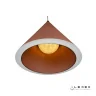 Подвесной светильник iLedex Moon WLD8858-1 PK
