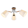 Потолочный светильник Ambrella light TR4731