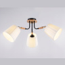 Потолочный светильник Ambrella light TR4731
