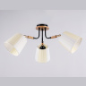 Потолочный светильник Ambrella light TR4731