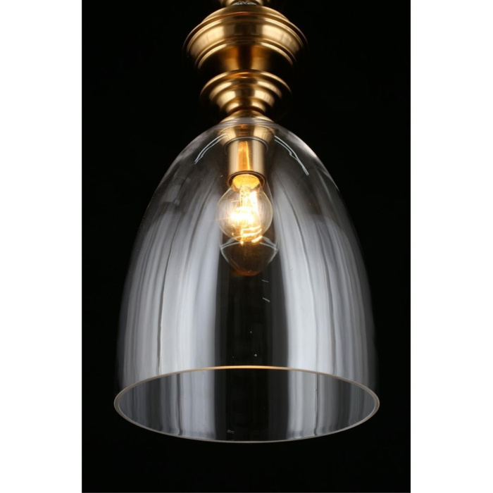 Светильник подвесной Aployt Rena APL.602.16.01