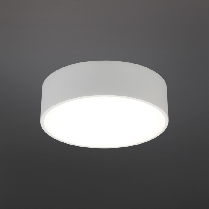 Светильник настенно-потолочный Aployt Evon APL.0114.09.12