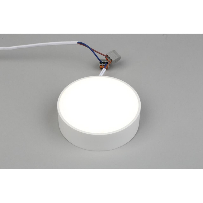 Светильник настенно-потолочный Aployt Evon APL.0114.09.12