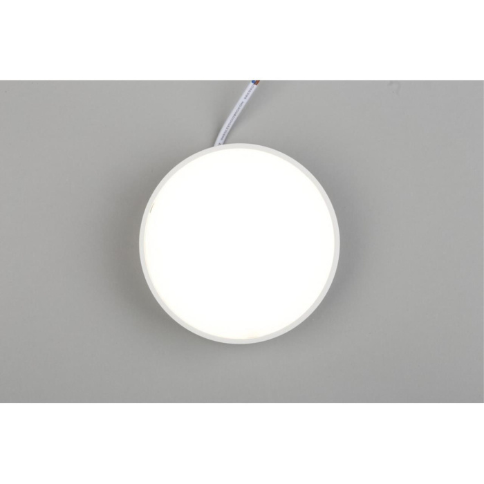 Светильник настенно-потолочный Aployt Evon APL.0114.09.12