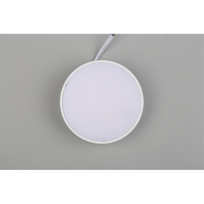 Светильник настенно-потолочный Aployt Evon APL.0114.09.12