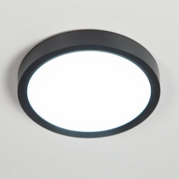 Светильник накладной Citilux Бейсик CL738181V