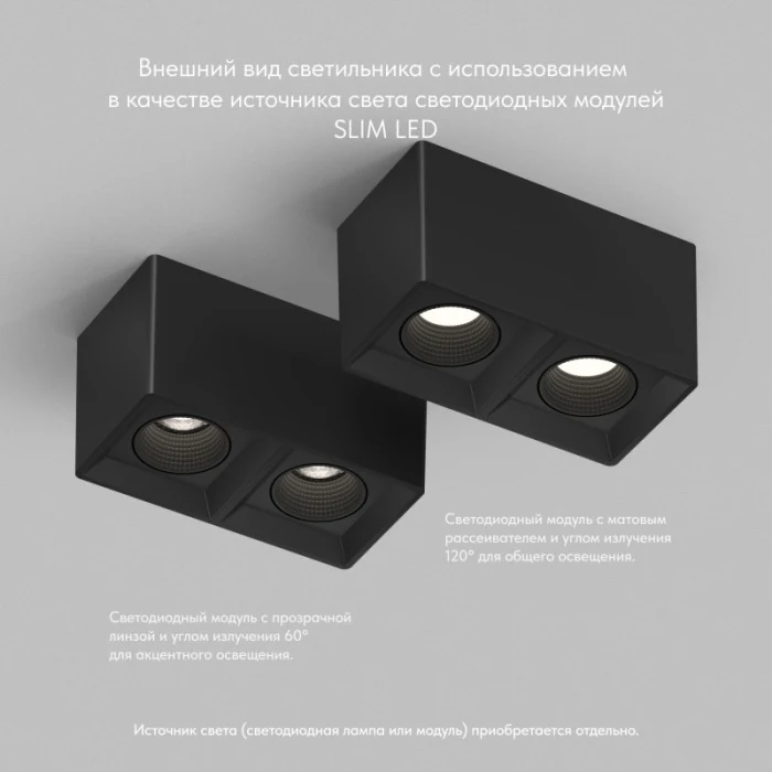 Накладной светильник Denkirs Rodvig DK3085-BK