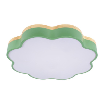 Потолочный светильник Loft it Axel 10225/36 Green