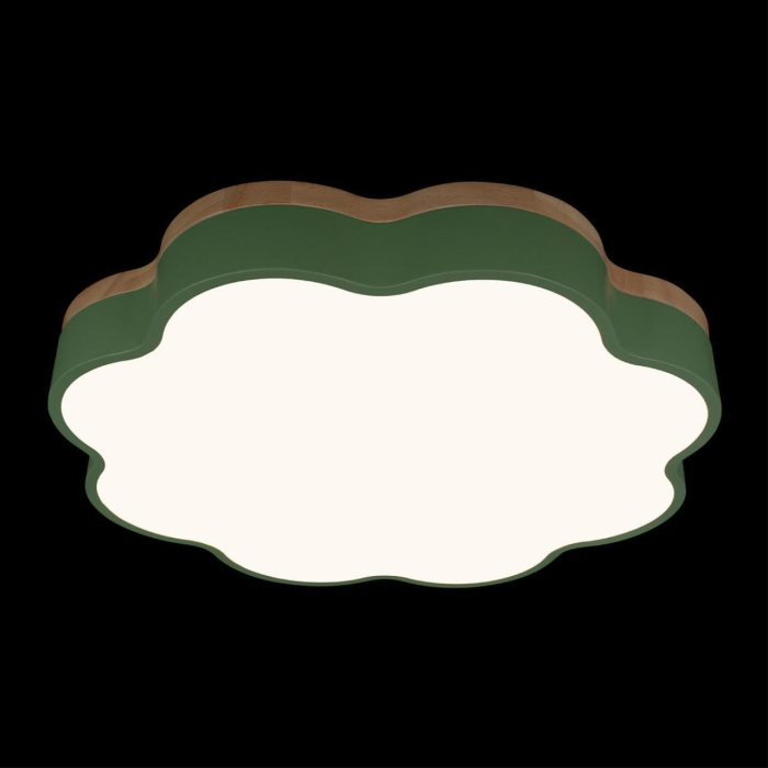 Потолочный светильник Loft it Axel 10225/36 Green