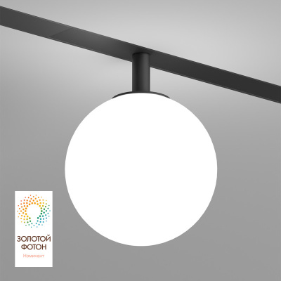 Светильник на шине Denkirs SMART MOON DK8050-BK