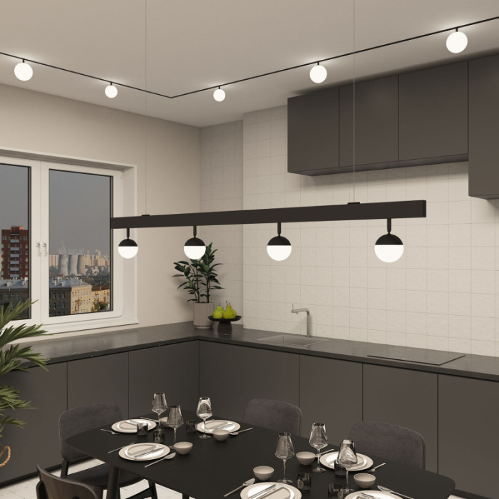 Светильник на шине Denkirs SMART MOON DK8050-BK