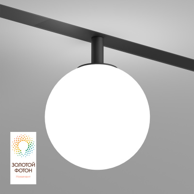 Светильник на шине Denkirs SMART MOON DK8050-BK