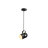 Подвесной светильник в стиле лофт Ambrella light TR8206