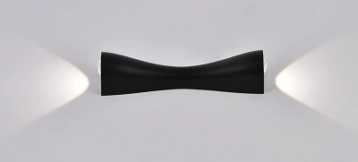 Настенный светильник Arte Lamp A2696AP-10BK