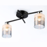 Потолочный светильник Ambrella light TR303211
