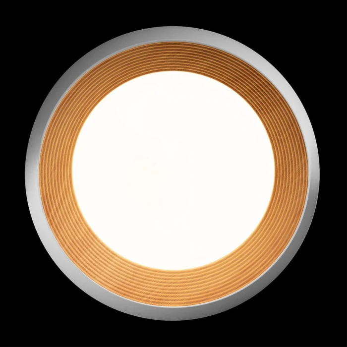 Потолочный светильник Loft it Folk 10255/500 White