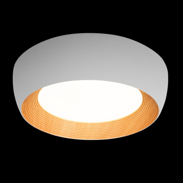 Потолочный светильник Loft it Folk 10255/500 White