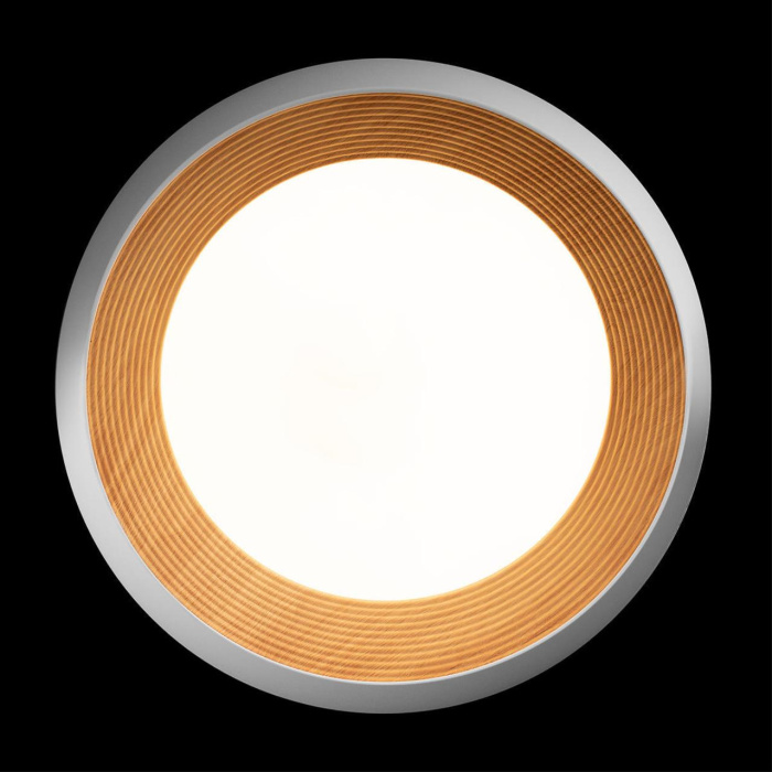 Потолочный светильник Loft it Folk 10255/500 White