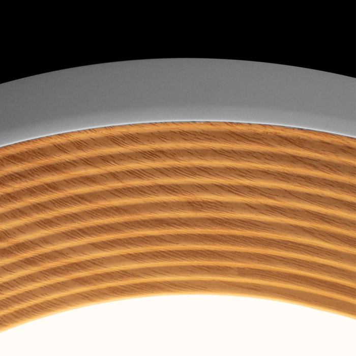 Потолочный светильник Loft it Folk 10255/500 White