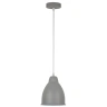 Подвесной светильник Arte Lamp Braccio A2054SP-1GY
