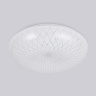 Потолочный светодиодный светильник Ambrella light FZ1084