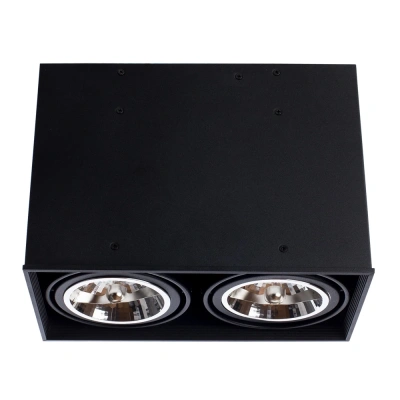 Точечный накладной светильник Arte Lamp CARDANI GRANDE A5936PL-2BK