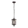 Уличный подвесной светильник Loft it Ravenna 100016P